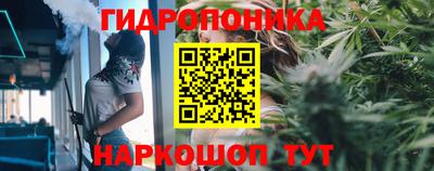 каннабис Будённовск