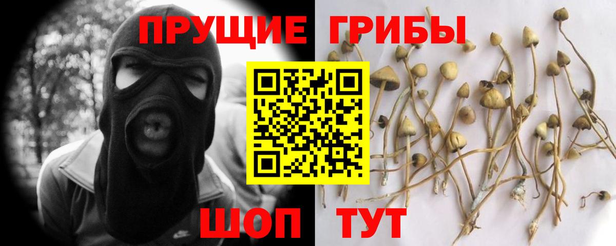 купить наркотик  Галлюциногенные грибы Magic Shrooms  Галлюциногенные грибы Psilocybe  Вход с VPN  Кызыл 